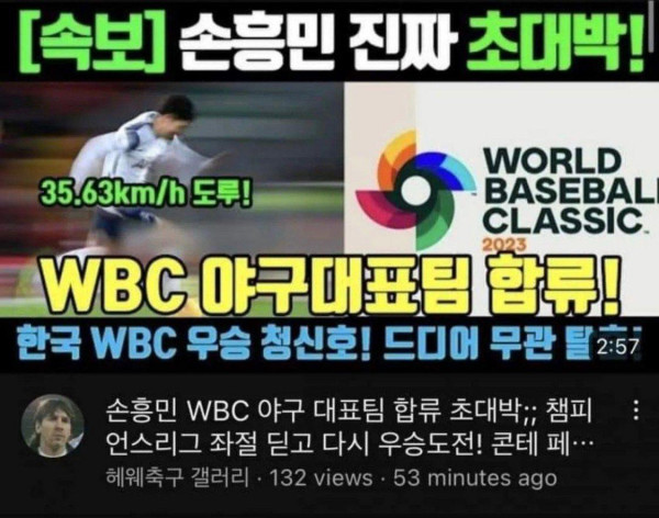 한국 WBC 대표팀 근황